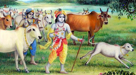 Krishna Balaram
