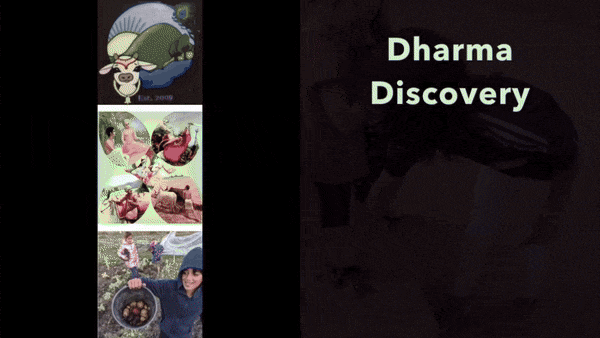 Dharma Discovery