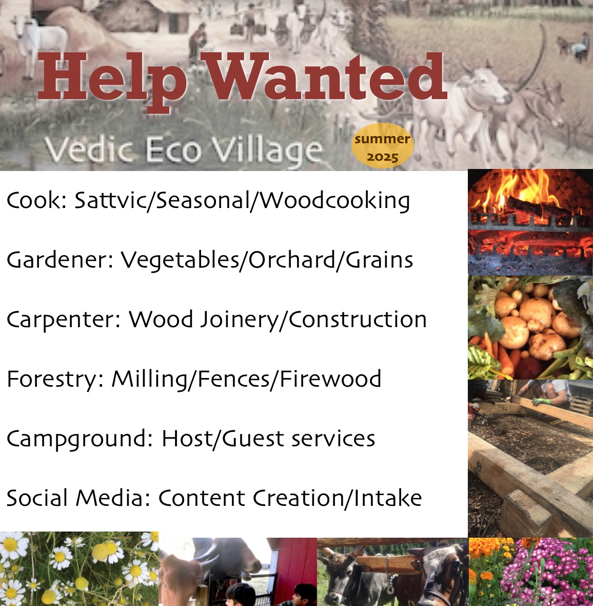 help wanted