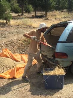 Shovelling earth used in cob