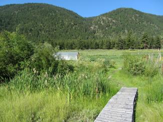 Bridge to Co-op garden