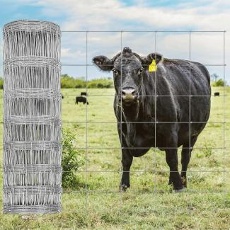 Cow fence