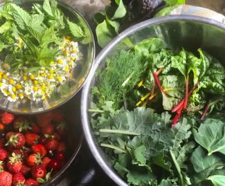 veggies