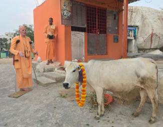 Bhakti Raghava Swami go puja in India