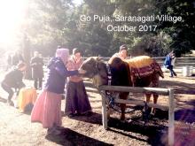 Go Puja