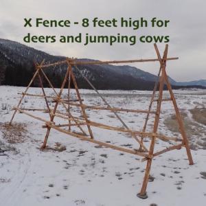 xfence-deer