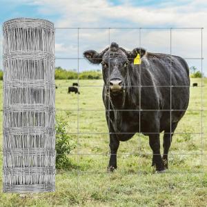 Cow fence